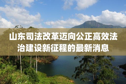 山東司法改革邁向公正高效法治建設新征程的最新消息