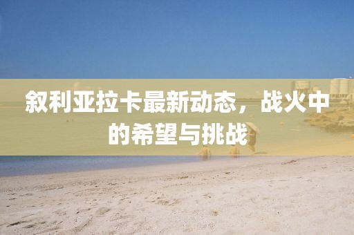 敘利亞拉卡最新動態，戰火中的希望與挑戰