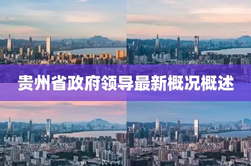 貴州省政府領(lǐng)導(dǎo)最新概況概述
