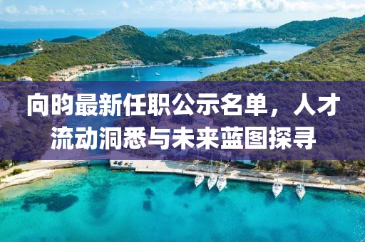 向昀最新任職公示名單，人才流動洞悉與未來藍圖探尋