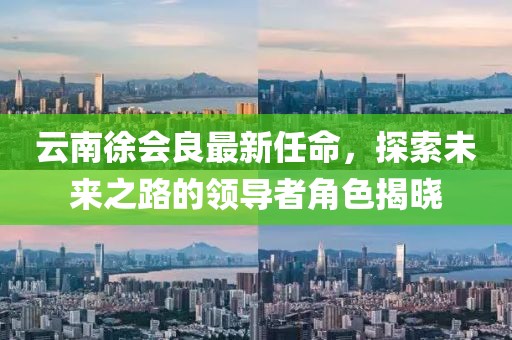 云南徐會良最新任命，探索未來之路的領導者角色揭曉