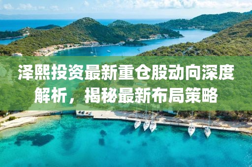 澤熙投資最新重倉(cāng)股動(dòng)向深度解析，揭秘最新布局策略