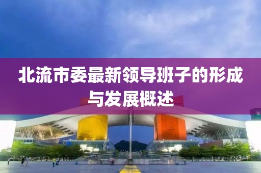 北流市委最新領(lǐng)導班子的形成與發(fā)展概述