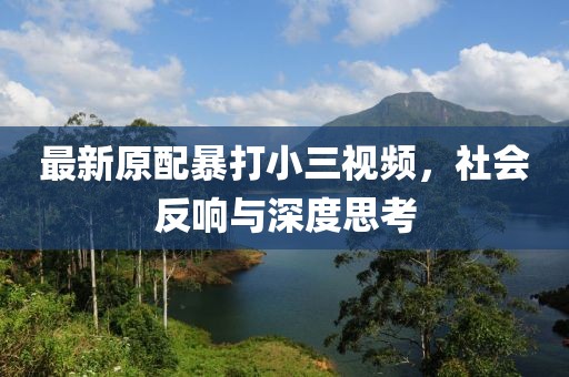 最新原配暴打小三視頻，社會反響與深度思考