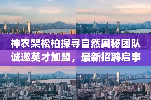 神農(nóng)架松柏探尋自然奧秘團隊誠邀英才加盟，最新招聘啟事