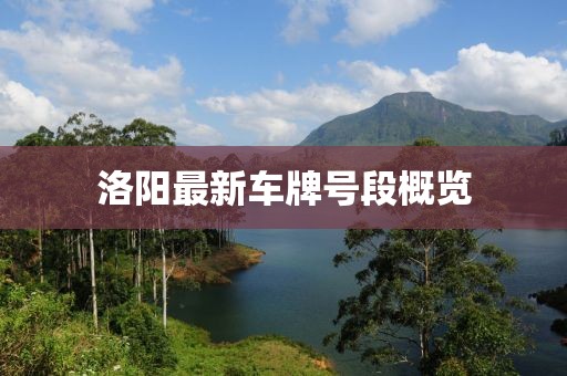 洛陽最新車牌號(hào)段概覽