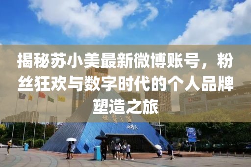 揭秘蘇小美最新微博賬號，粉絲狂歡與數字時代的個人品牌塑造之旅