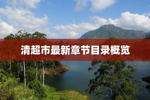 清超市最新章節目錄概覽