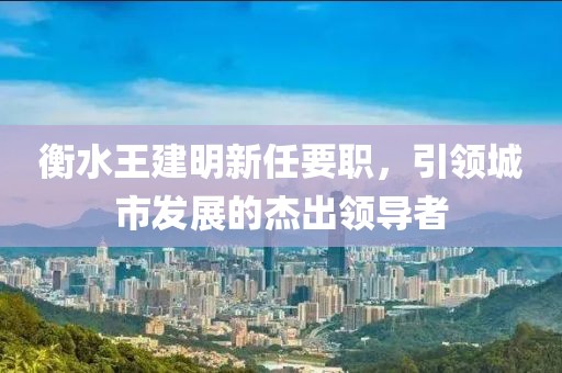 衡水王建明新任要職，引領城市發展的杰出領導者