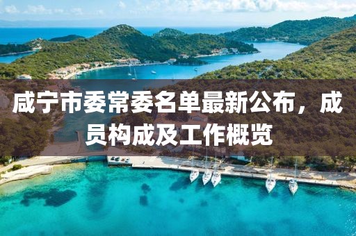 咸寧市委常委名單最新公布，成員構成及工作概覽