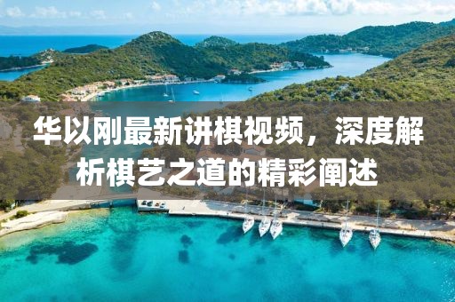 華以剛最新講棋視頻，深度解析棋藝之道的精彩闡述