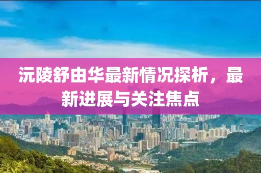 沅陵舒由華最新情況探析，最新進展與關(guān)注焦點