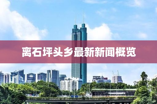 離石坪頭鄉最新新聞概覽