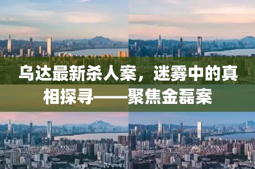 烏達(dá)最新殺人案，迷霧中的真相探尋——聚焦金磊案
