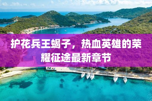 護花兵王蝎子，熱血英雄的榮耀征途最新章節