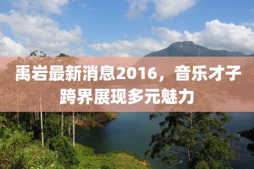 禹巖最新消息2016，音樂才子跨界展現(xiàn)多元魅力