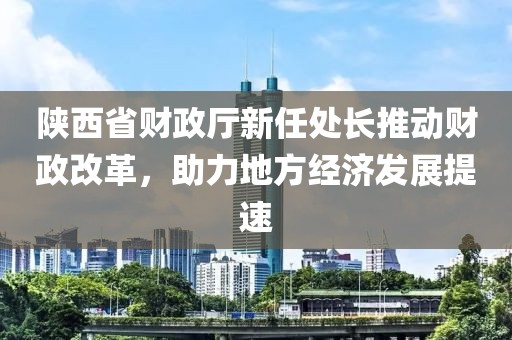 陜西省財政廳新任處長推動財政改革，助力地方經濟發展提速