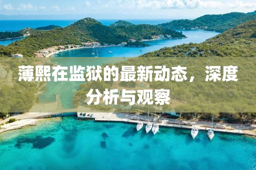 薄熙在監(jiān)獄的最新動態(tài)，深度分析與觀察