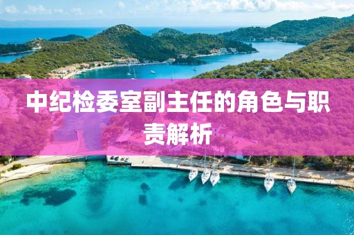 中紀檢委室副主任的角色與職責解析