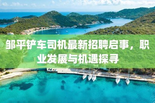 鄒平鏟車司機最新招聘啟事，職業(yè)發(fā)展與機遇探尋