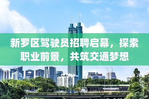 新羅區駕駛員招聘啟幕，探索職業前景，共筑交通夢想
