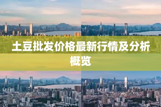土豆批發(fā)價(jià)格最新行情及分析概覽