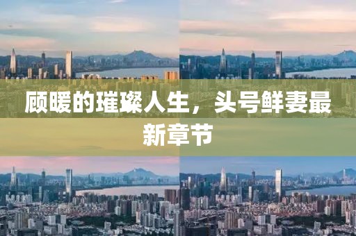 顧暖的璀璨人生，頭號鮮妻最新章節(jié)