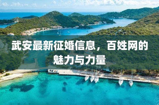 武安最新征婚信息，百姓網的魅力與力量