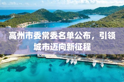 高州市委常委名單公布，引領(lǐng)城市邁向新征程