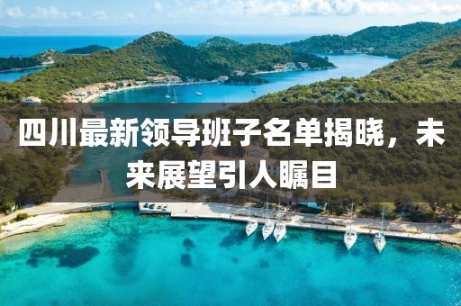 四川最新領(lǐng)導(dǎo)班子名單揭曉，未來展望引人矚目
