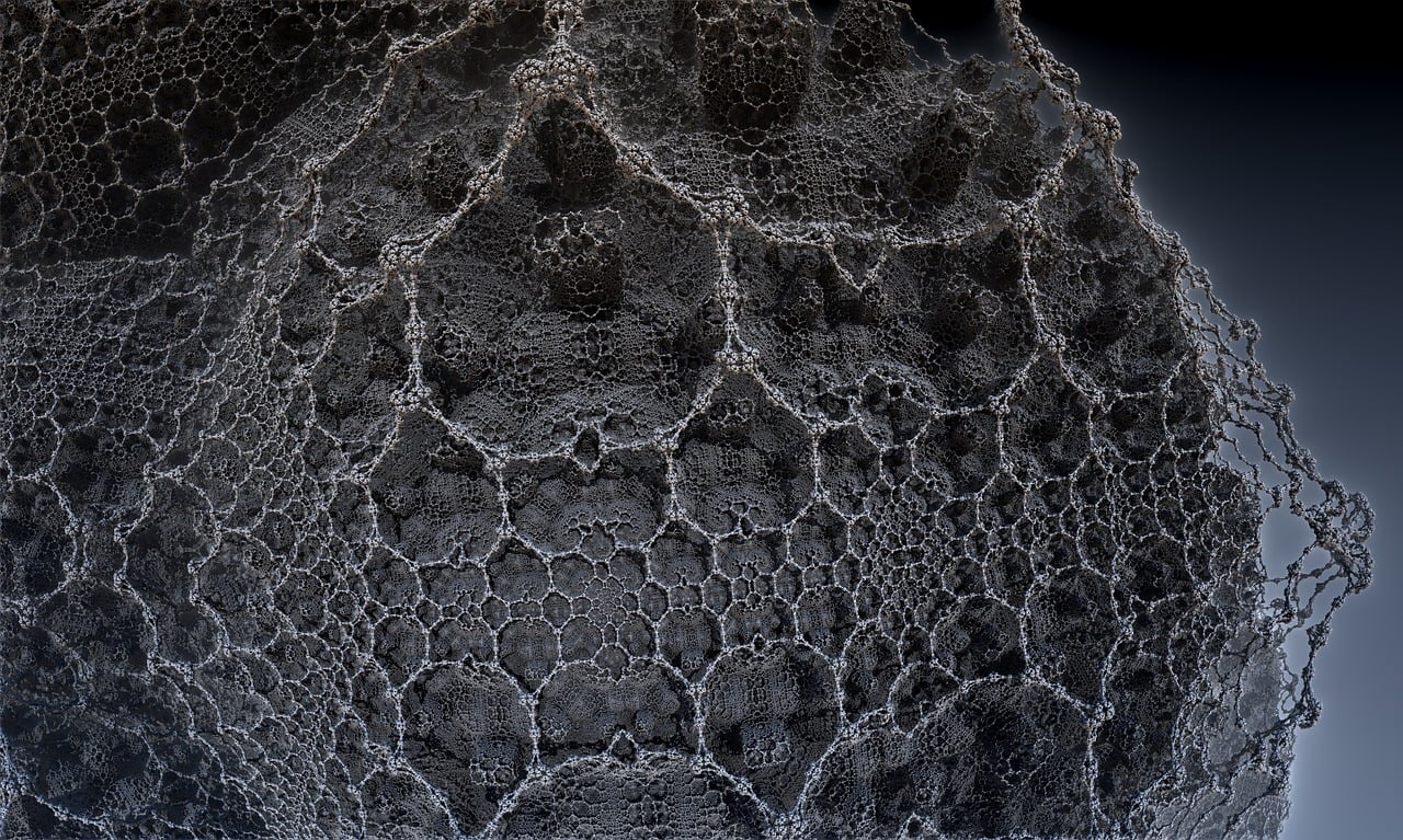 湛江李昌梧最新動態，傳奇人物的嶄新篇章