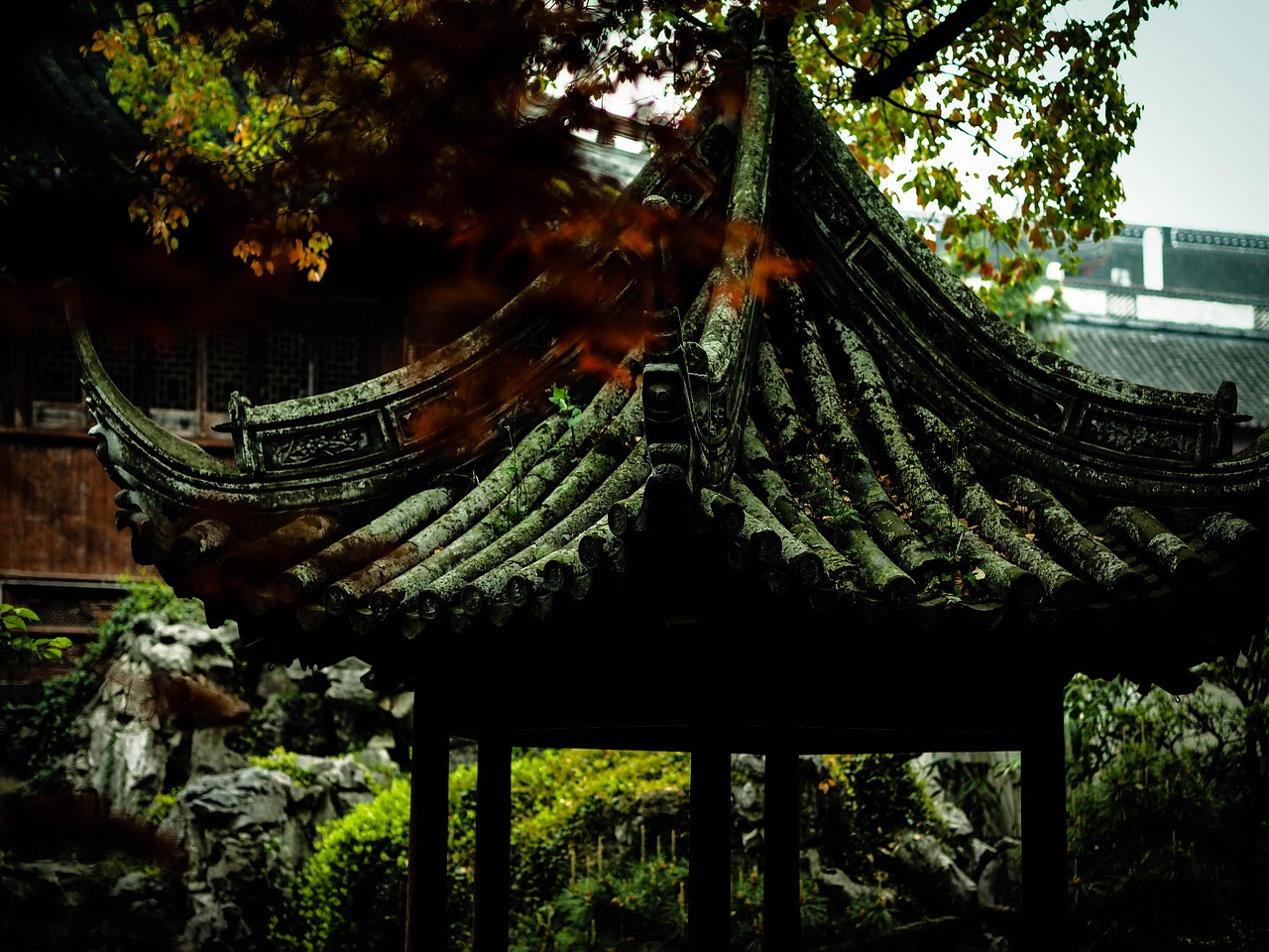 中國女排隊蓄勢待發(fā)，展現(xiàn)新篇章，最新消息與動態(tài)速遞