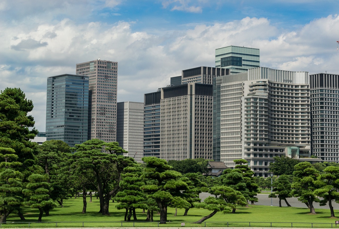 河南省輝縣市最新規劃，打造繁榮宜居新時代城市藍圖