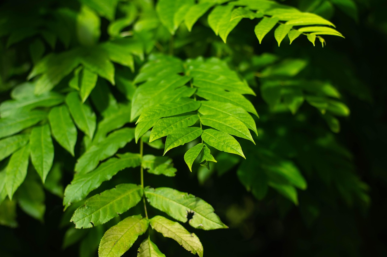 北海水印泉山最新動(dòng)態(tài)，城市發(fā)展與綠色生態(tài)的和諧共鳴