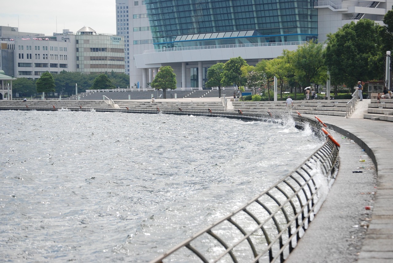 鄭州海昌海洋公園最新動態(tài)揭秘，揭開神秘面紗，展現(xiàn)海洋魅力奇觀