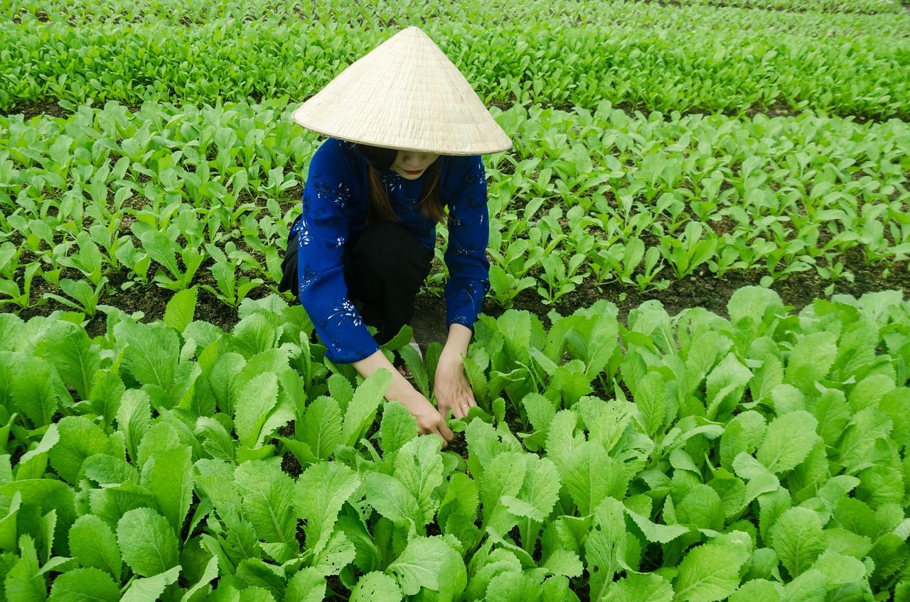 戶戶通四代機最新動態概覽